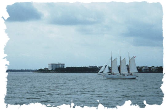 charleston bay boat.jpg (32530 bytes)